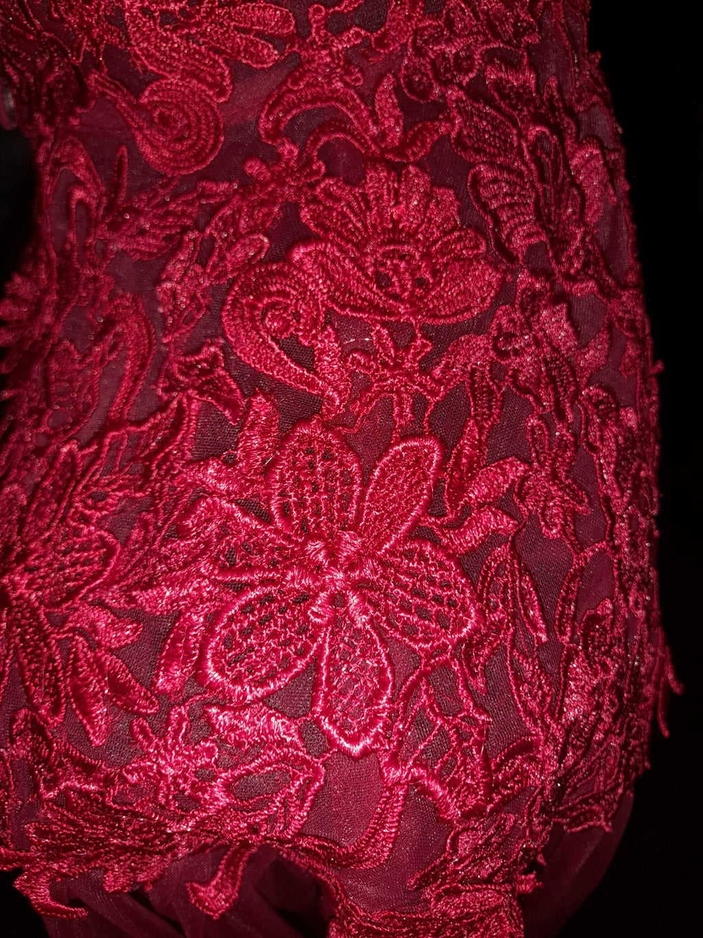 Wine Red Bridal Cape Veil: Gothic Lace High Neck Wedding Cloak