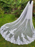 Dark Ivory Cathedral Bridal Cape Veil Cloak For Wedding