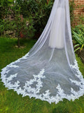 White Cathedral Veil With Glitter And Lace Edge And A Comb