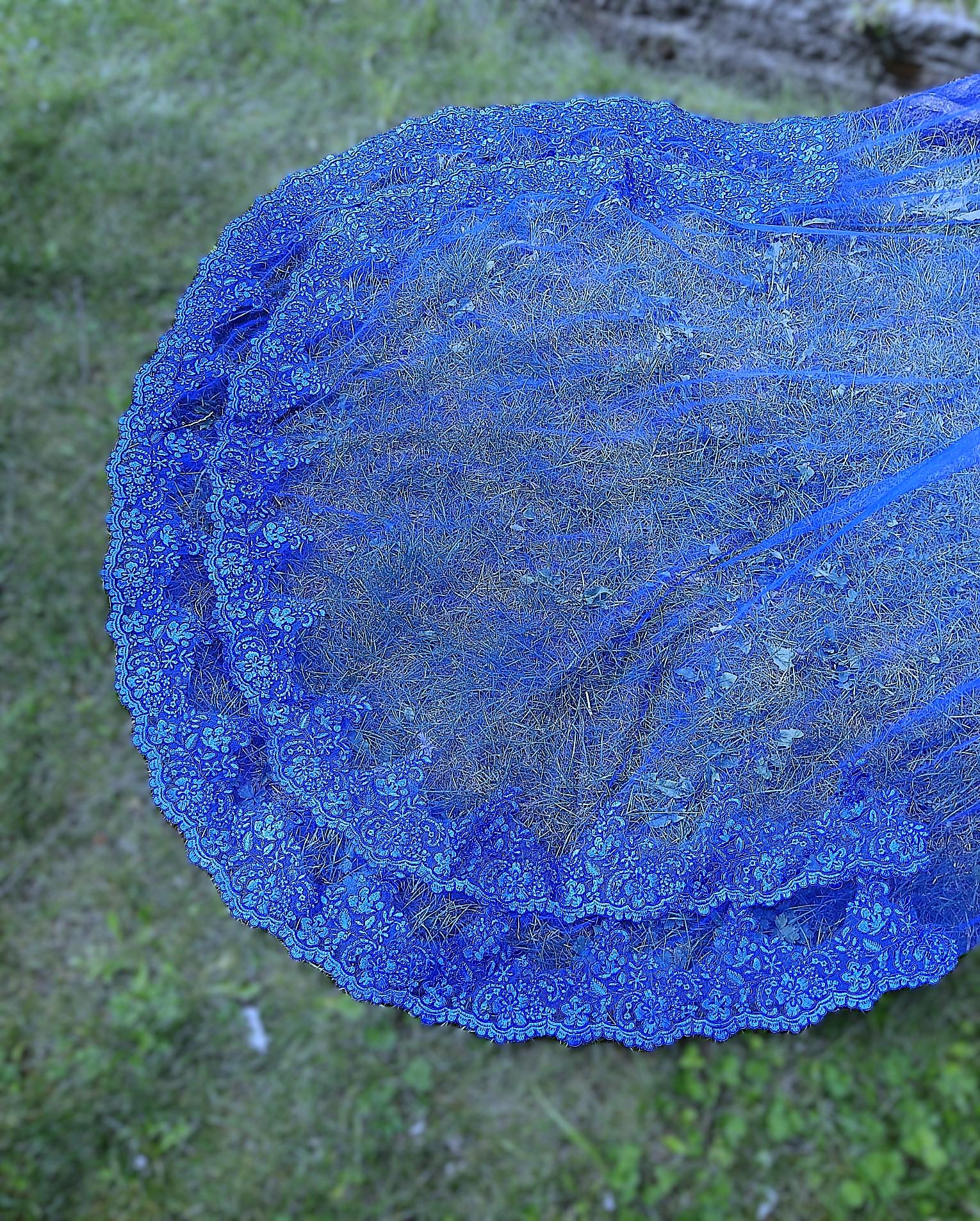 Royal Blue Cathedral Wedding Veil: Double Lace Edge with Comb